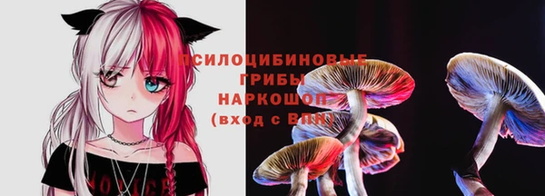 jwh Дмитровск