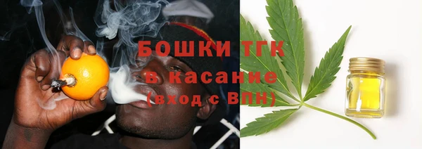твердый Дмитров